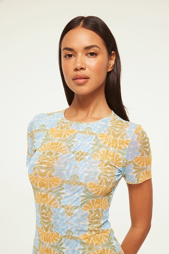 Misa Vina Mesh Printed T-Shirt Dress- Citrus Slice - Styleartist