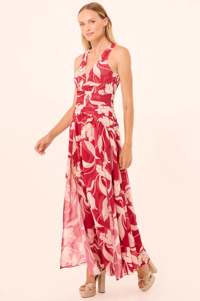 Misa Imogen Chiffon Sleeveless Dress- Cherry Flora